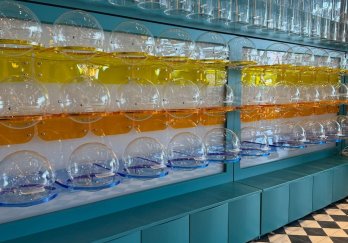 Candy Co / İstanbul